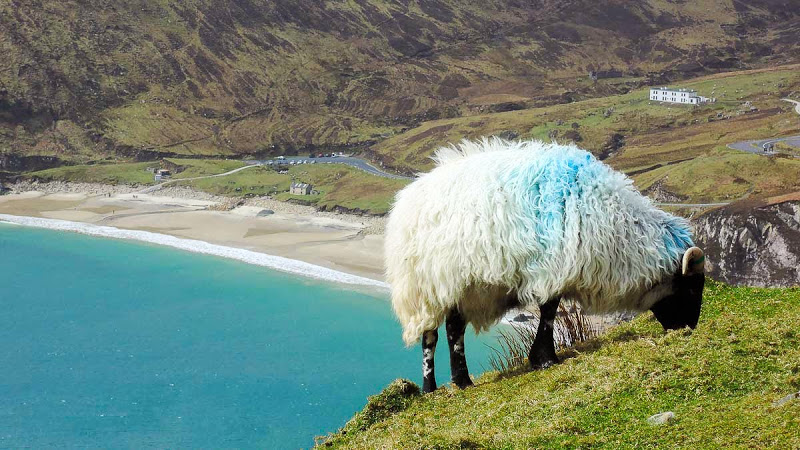 Achill Island